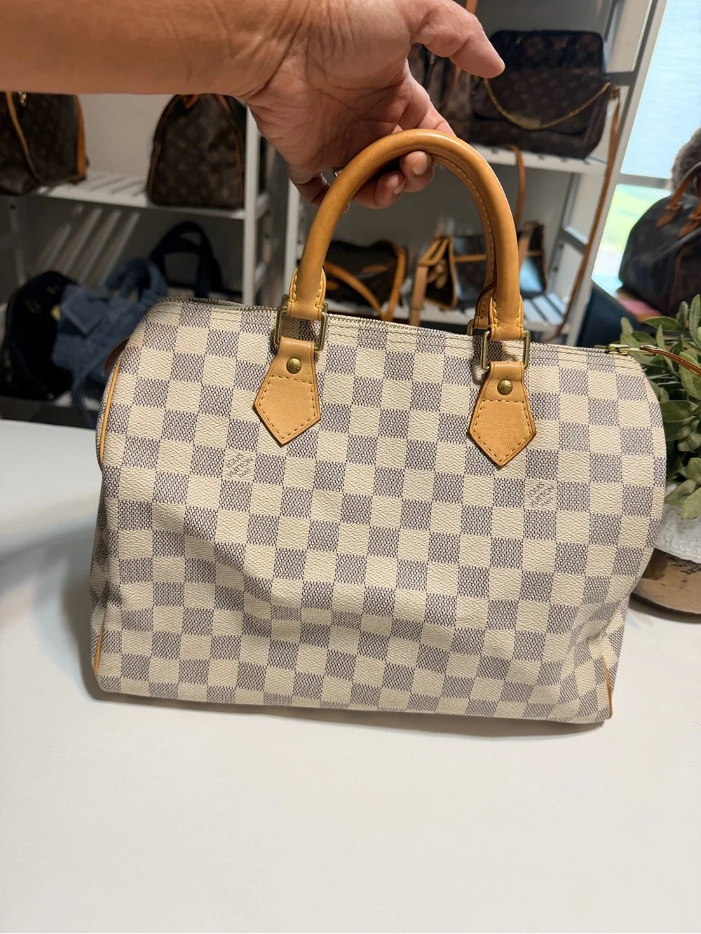 Speedy 30 azure